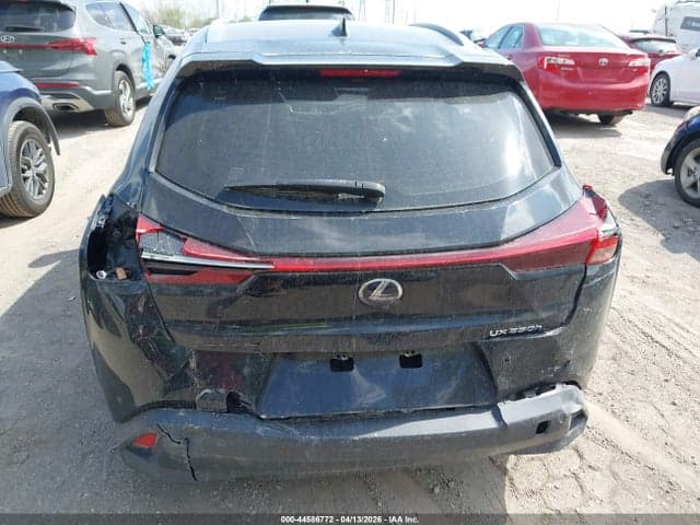 2021 LEXUS UX 250H 6