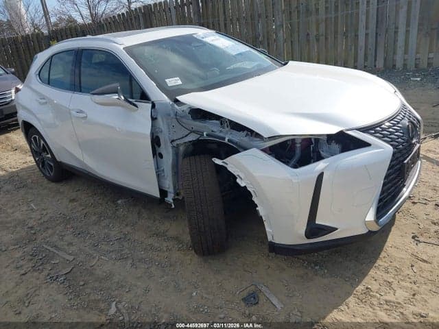 2025 LEXUS UX 300H PREMIUM - 1