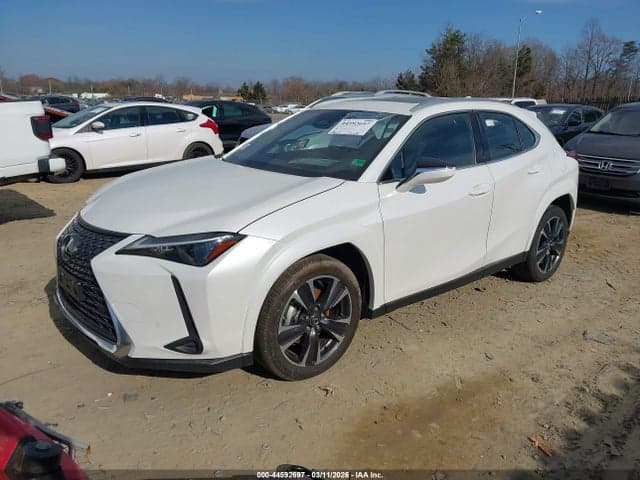 2025 LEXUS UX 300H PREMIUM 2
