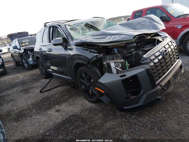 2025 HYUNDAI PALISADE XRT 1