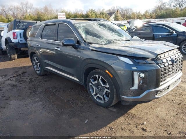 2023 HYUNDAI PALISADE LIMITED 1