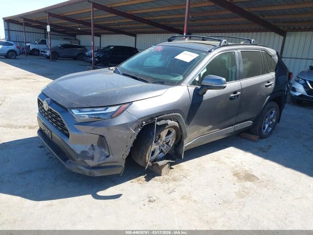 2025 TOYOTA RAV4 XLE 2