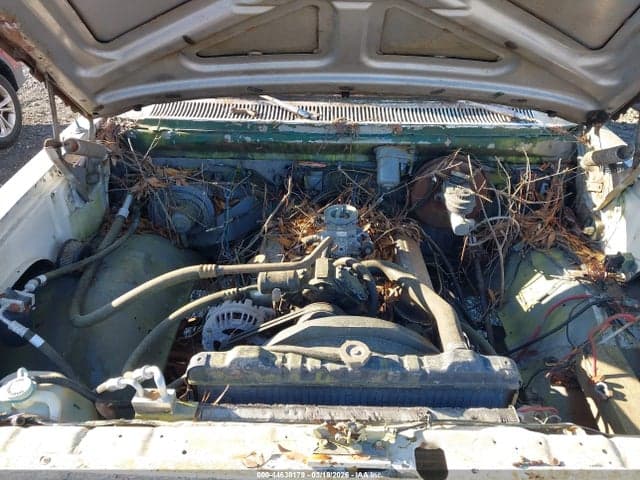 1981 DODGE D-SERIES D150 10