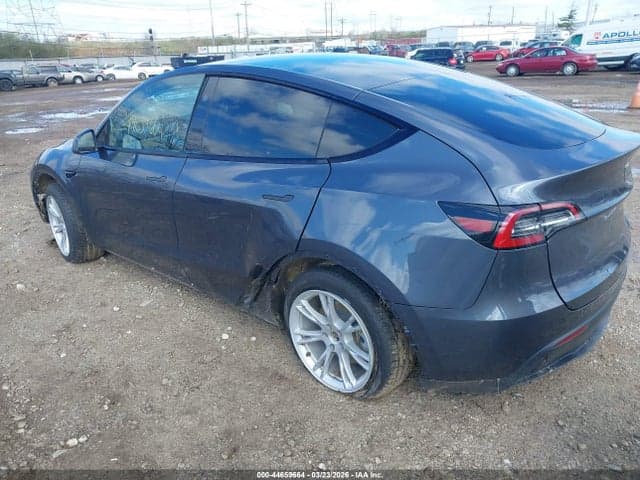 2023 TESLA MODEL Y RWD 3