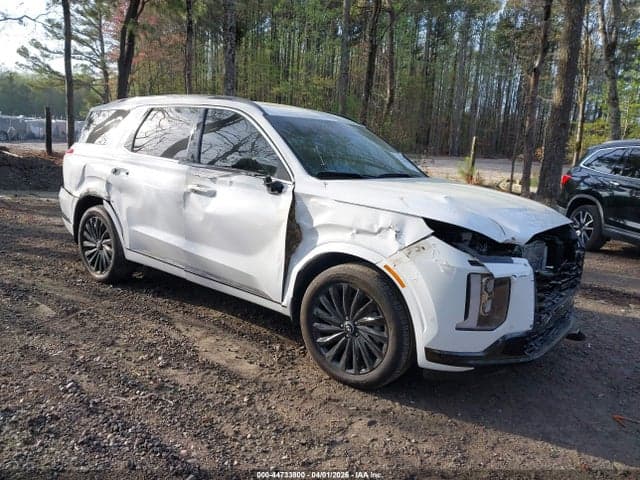 2025 HYUNDAI PALISADE CALLIGRAPHY NIGHT EDITION - 1