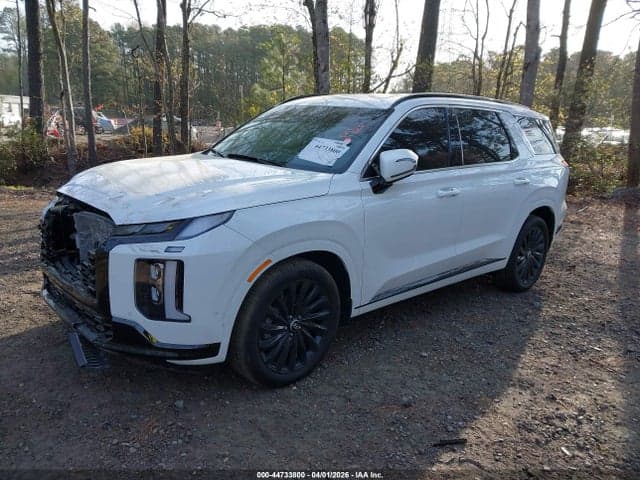 2025 HYUNDAI PALISADE CALLIGRAPHY NIGHT EDITION 2
