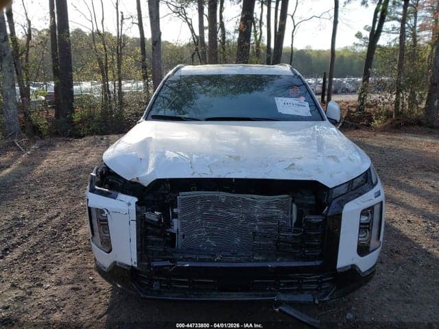 2025 HYUNDAI PALISADE CALLIGRAPHY NIGHT EDITION 6