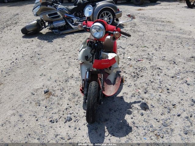 2025 HONDA NCW50 5