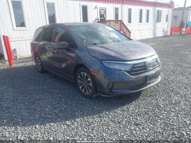 2024 HONDA ODYSSEY EXL