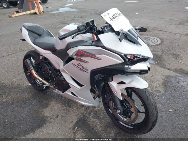 2025 KAWASAKI EX500 - 1