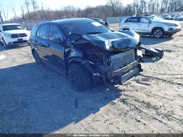 2019 CHEVROLET EQUINOX LS 1