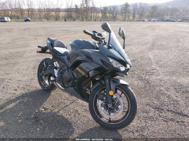 2024 KAWASAKI EX650 P - 1