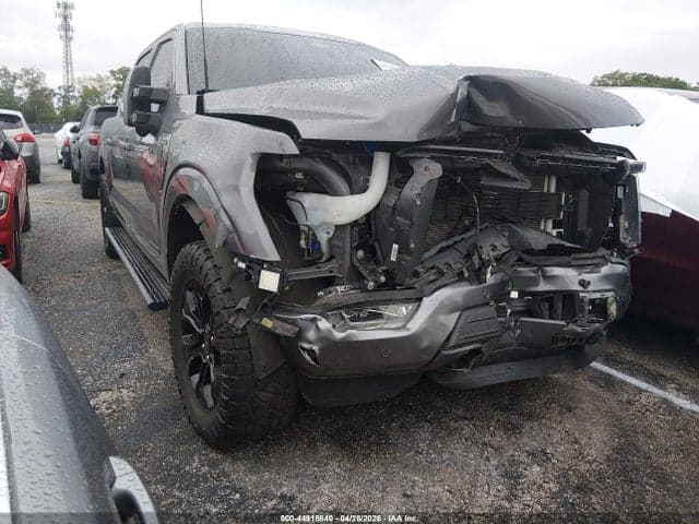 2023 FORD F-150 PLATINUM 1