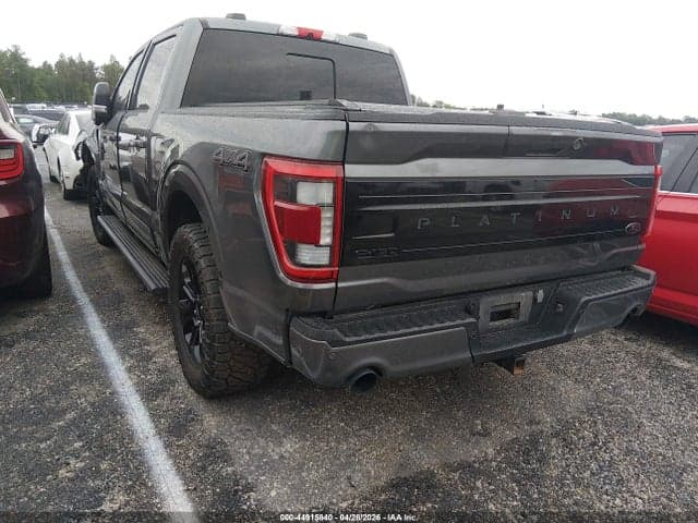 2023 FORD F-150 PLATINUM 3