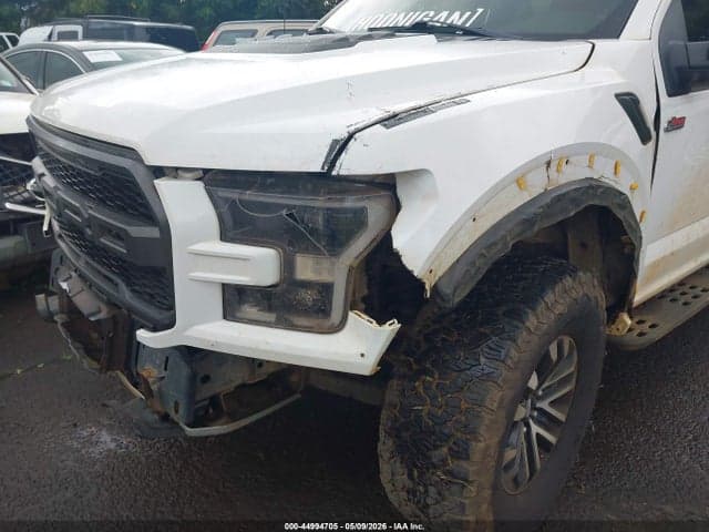2019 FORD F-150 RAPTOR 17