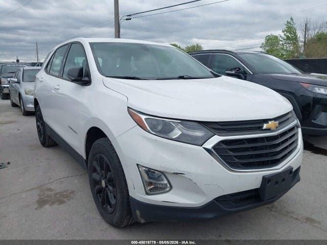 2019 CHEVROLET EQUINOX LS 1