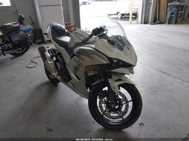 2025 KAWASAKI EX500 H - 1
