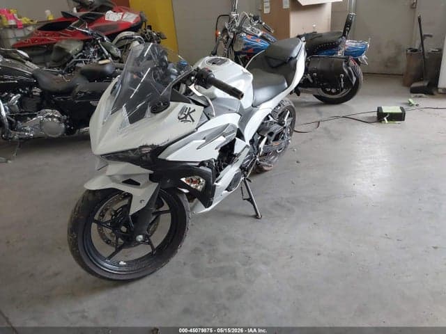 2025 KAWASAKI EX500 H 2
