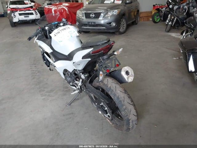 2025 KAWASAKI EX500 H 3