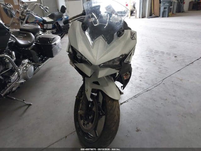 2025 KAWASAKI EX500 H 5