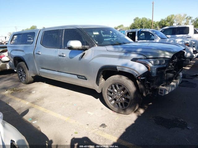 2022 TOYOTA TUNDRA PLATINUM - 1