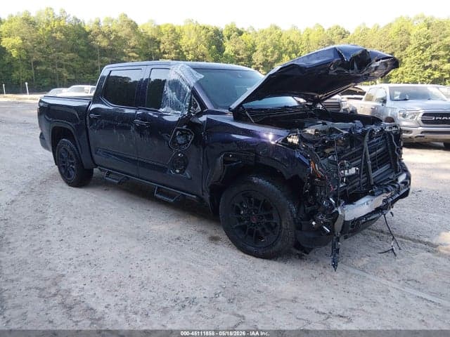 2025 TOYOTA TUNDRA PLATINUM - 1