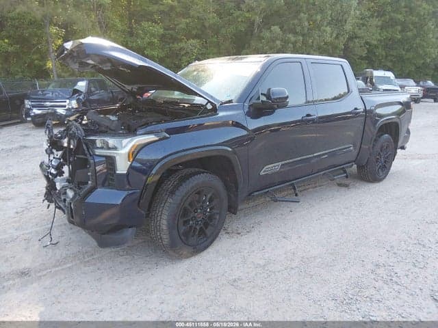 2025 TOYOTA TUNDRA PLATINUM 2
