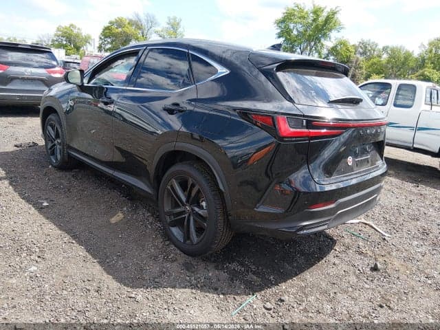 2025 LEXUS NX 450H+ LUXURY 3