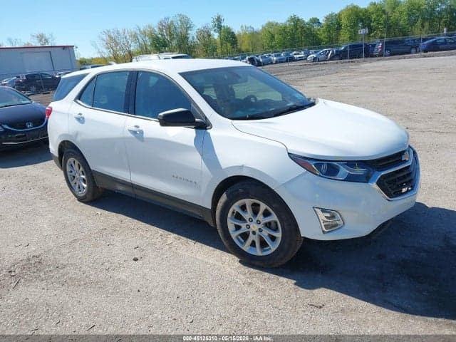2019 CHEVROLET EQUINOX LS 1
