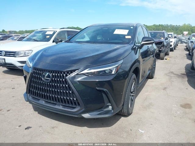 2023 LEXUS NX 250 2