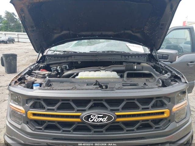 2025 FORD F-150 TREMOR 10