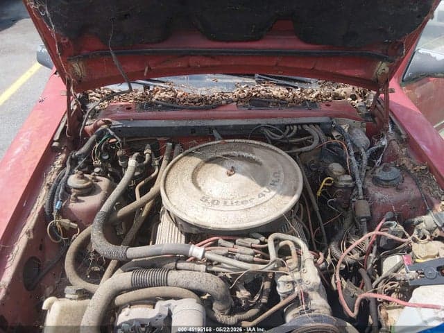 1984 FORD THUNDERBIRD 10
