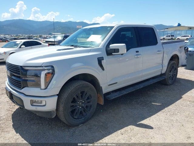 2025 FORD F-150 PLATINUM 2