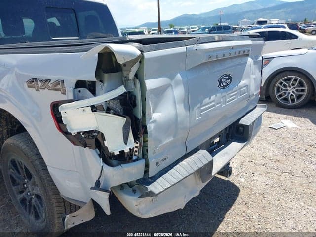 2025 FORD F-150 PLATINUM 6