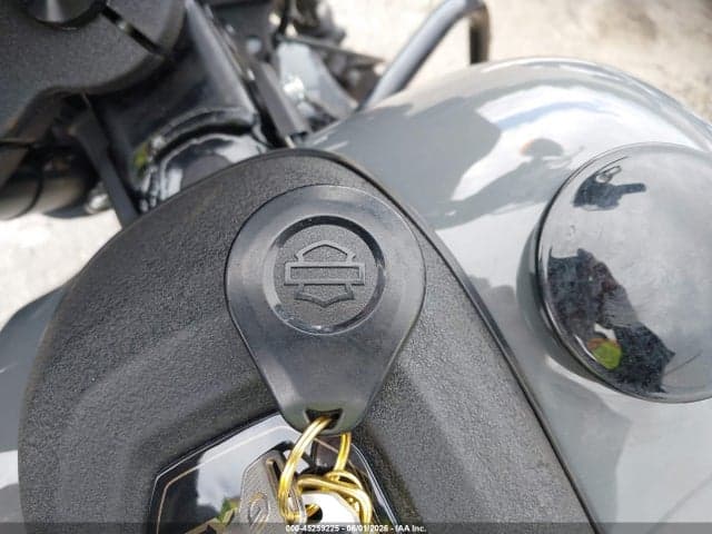 2022 HARLEY-DAVIDSON FXLRS 11