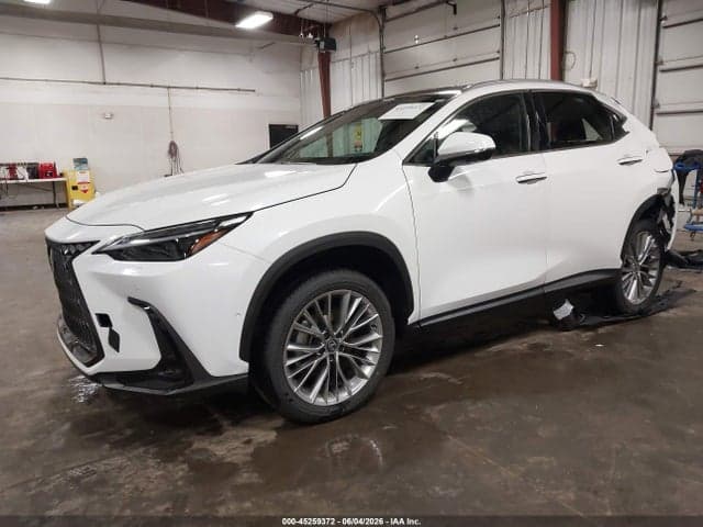 2026 LEXUS NX 350 LUXURY 2