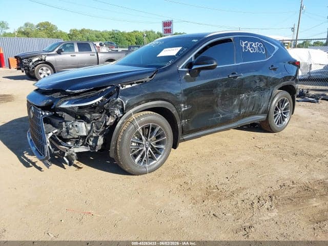 2024 LEXUS NX 350 2
