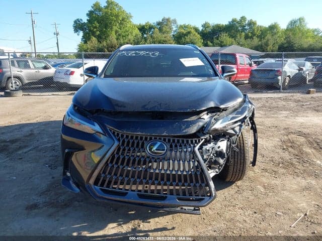 2024 LEXUS NX 350 13