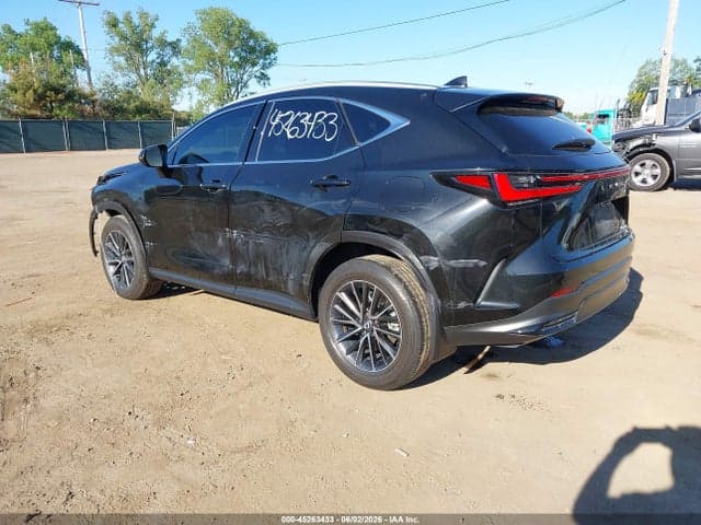 2024 LEXUS NX 350 3