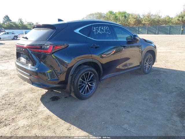 2024 LEXUS NX 350 4