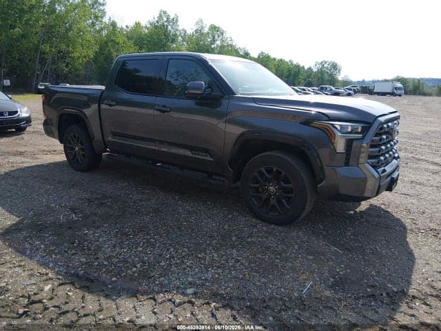 2022 TOYOTA TUNDRA PLATINUM - 1