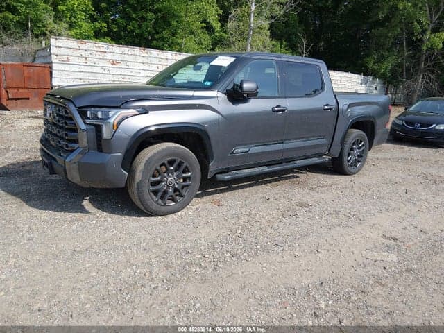 2022 TOYOTA TUNDRA PLATINUM 2