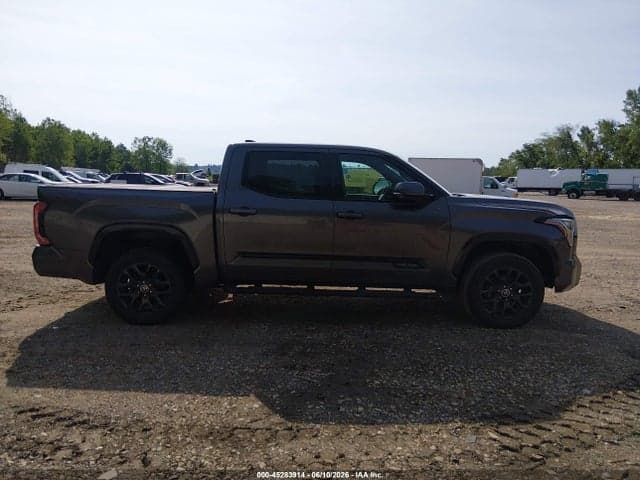 2022 TOYOTA TUNDRA PLATINUM 13