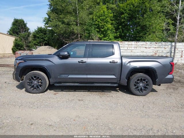2022 TOYOTA TUNDRA PLATINUM 14