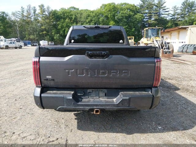 2022 TOYOTA TUNDRA PLATINUM 16