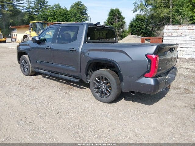 2022 TOYOTA TUNDRA PLATINUM 3