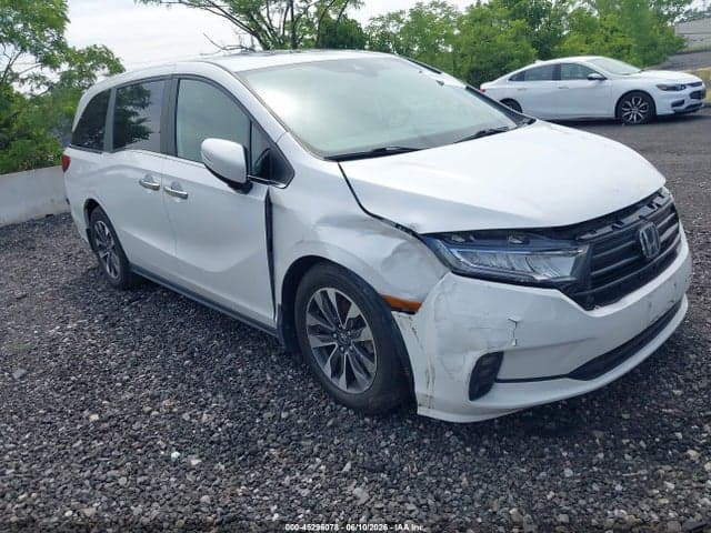 2024 HONDA ODYSSEY EX-L - 1