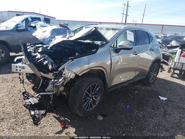 2025 LEXUS NX 250 2