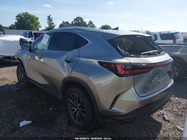 2025 LEXUS NX 250 3