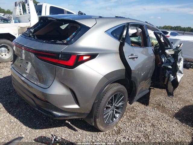 2025 LEXUS NX 250 4